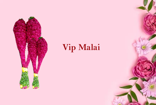 Vip Garland